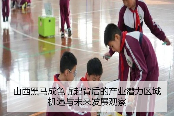 山西黑马成色崛起背后的产业潜力区域机遇与未来发展观察