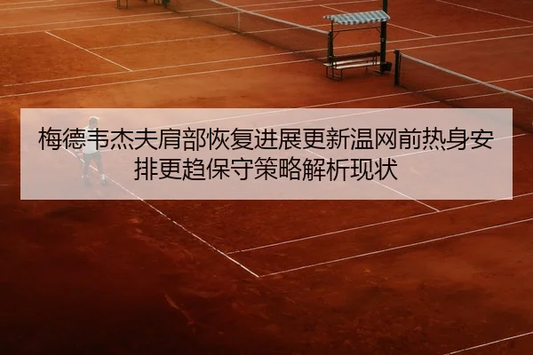 梅德韦杰夫肩部恢复进展更新温网前热身安排更趋保守策略解析现状